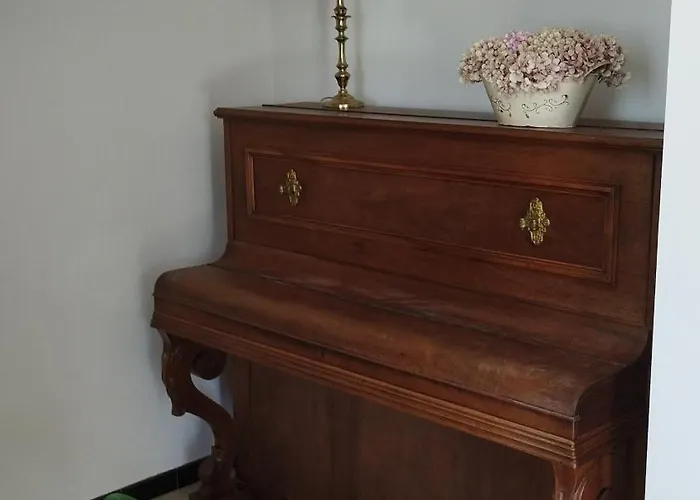 Spacieuse Nyaraló *